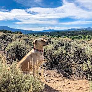Great Sand Dunes Mountain Getaway