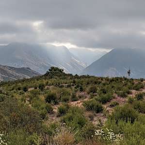 Deluxe Ranch Camping/trails/views