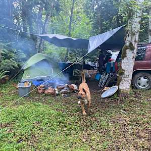 Camp Zamialan