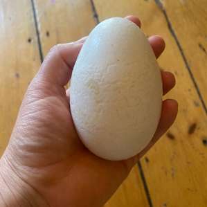 Goose egg
