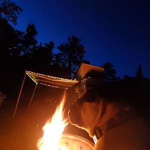 Perfect spot to set up our Vanagon and sit by the fire. The stars were amazing at night!