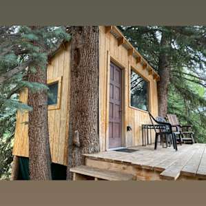 Tall Pines Treehouse