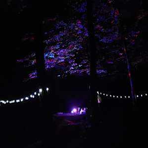 Pinnacle Springs Campground