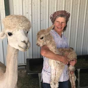 Goats and Alpacas at Falkor Ranch