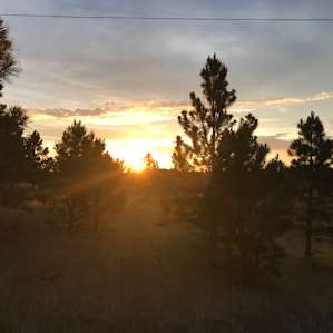 Camping with Goats and Alpacas