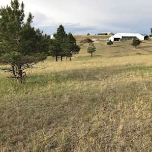 Camping with Goats and Alpacas