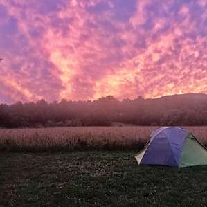 Natural Roots Farm Camping Retreat