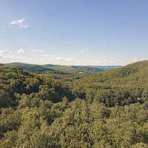 In the hills of Western, MA