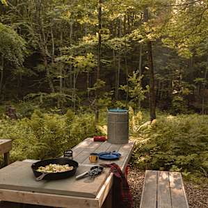 Sweet set up for some dinner in the woods