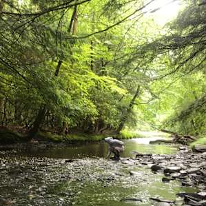 The beautiful river.