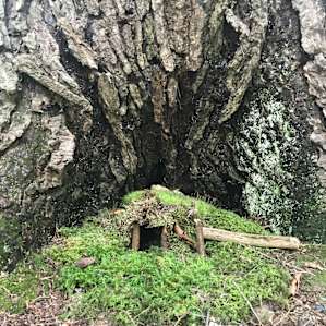 A fairy house!