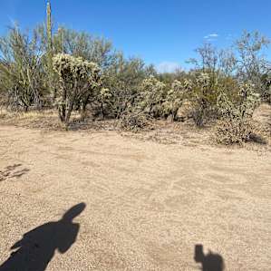 Wild Burro Desert Retreat