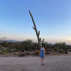 Wild Burro Desert Retreat