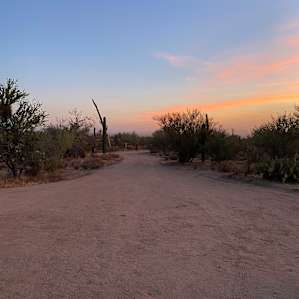 Wild Burro Desert Retreat