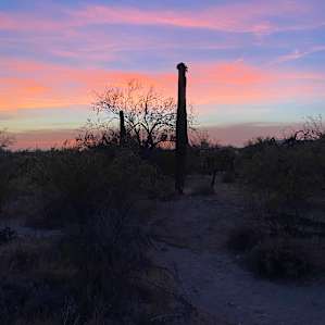 Wild Burro Desert Retreat