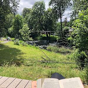 View from cabin deck