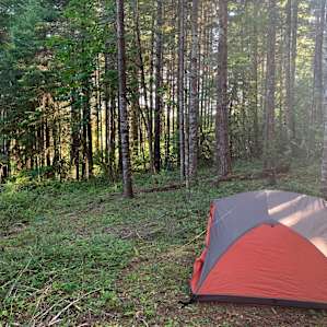 Backyard camp in forest setting.