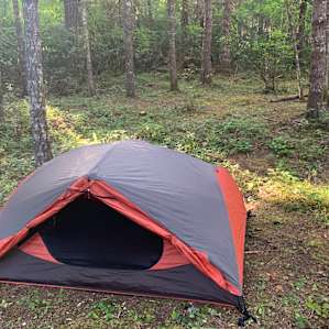 Backyard camp in forest setting.