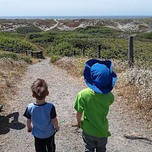 View to the beach at the dunes