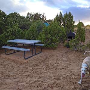 The picnic table