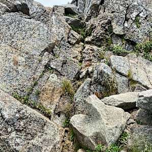 The white arrow trail is a wonderful rock scramble