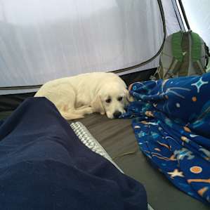 Secluded Lakeside Camping