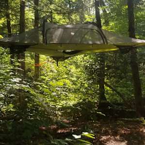 Taino Woods River Sites Only