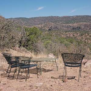 The Lookout