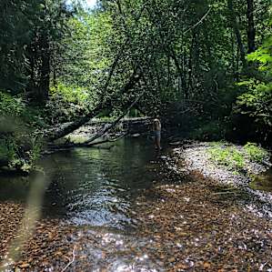 The river down the hill from the cabin