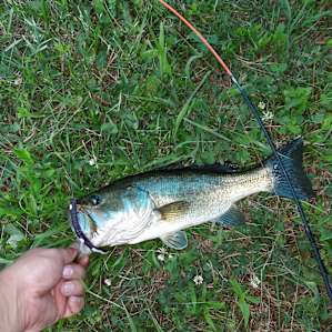 Fish Farm Camp
