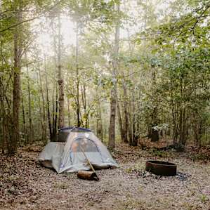 tent