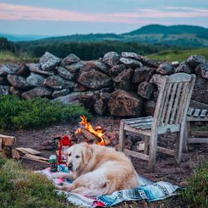 Quiet Magnificent View