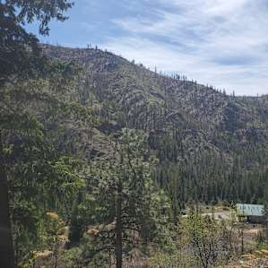 Secluded Cabin