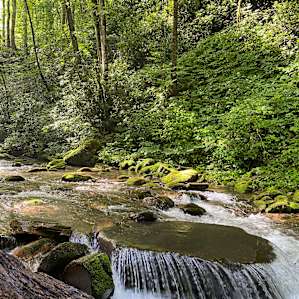 Creekside Cabin
