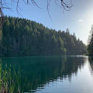 Peaceful water late afternoon.