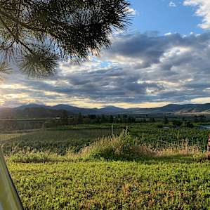 Sunrise on the provided hammocks.