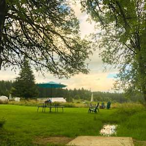 Horse Lovers Paradise - Hillside
