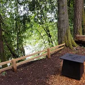 Glamping Camper rental