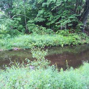 Patterson Creek Camp