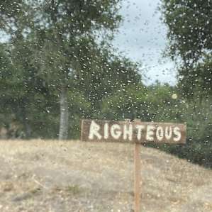 Righteous The Flat In Cambria Ca 23 Hipcamper Reviews And 39 Photos