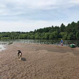 Great sandbars first swimming