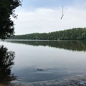 Camping at Bear Hill