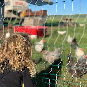 Quiet Cattle Ranch