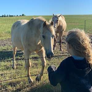 Quiet Cattle Ranch
