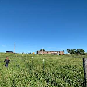 Quiet Cattle Ranch