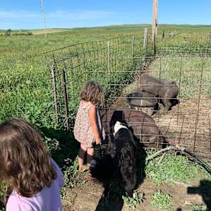 Quiet Cattle Ranch