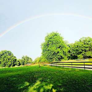 4R Ranch Vineyards & Winery RV Site