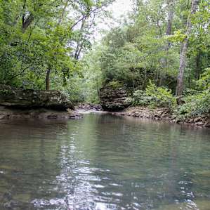 Full of private little swimming areas.