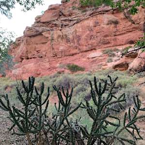 RV Camp among Anasazi Ruins!