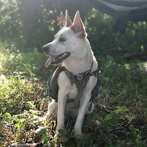 Photo of The Perfect Hideaway - LITTLE BENT FARM (8)